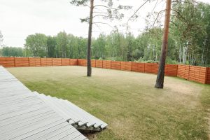 Spacious backyard with two long trees enclosed with wooden fence in countryside